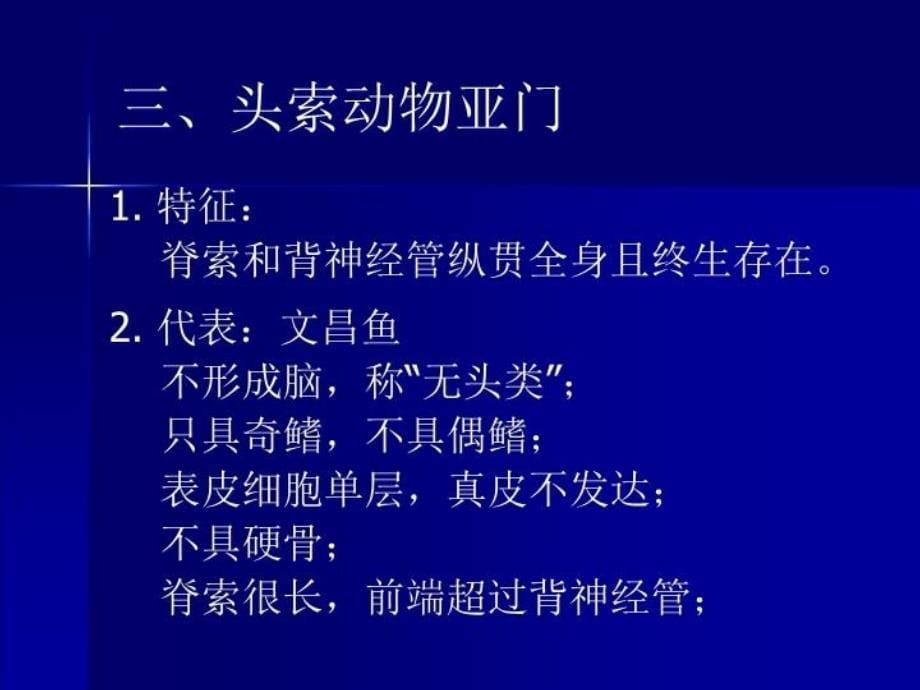 最新奥赛辅导脊椎动物学教学课件_第5页