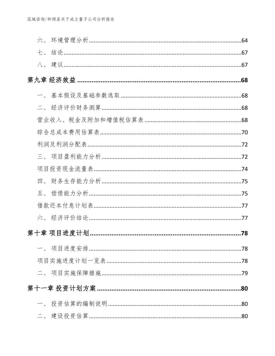 和顺县关于成立量子公司分析报告_第5页