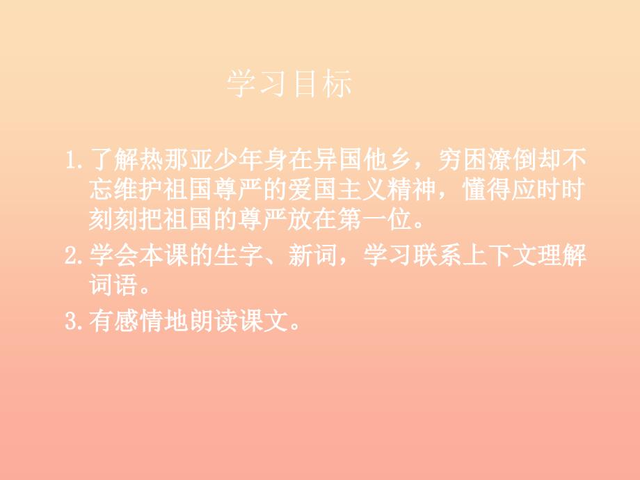 三年级语文上册3祖国在我心中意大利的爱国少年第1课时课件北师大版_第4页