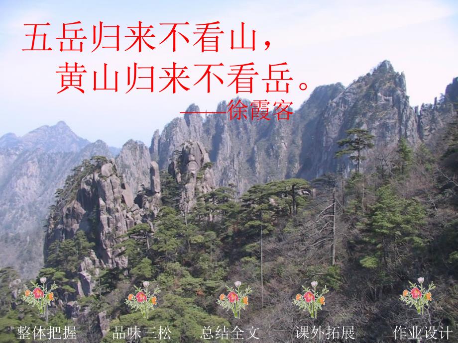 16、黄山奇松_第1页