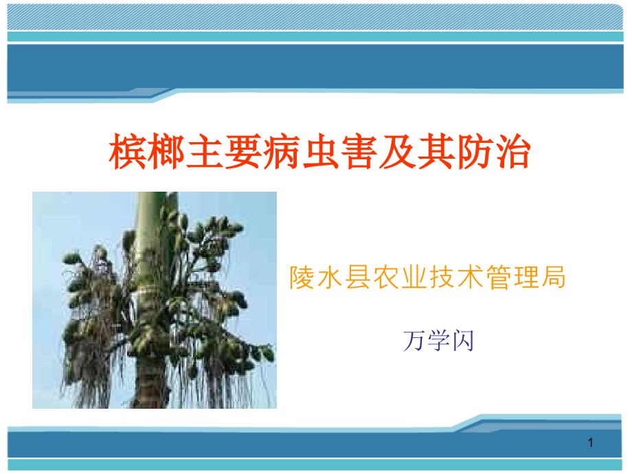 槟榔主要病虫害防治技术PPT演示课件_第1页