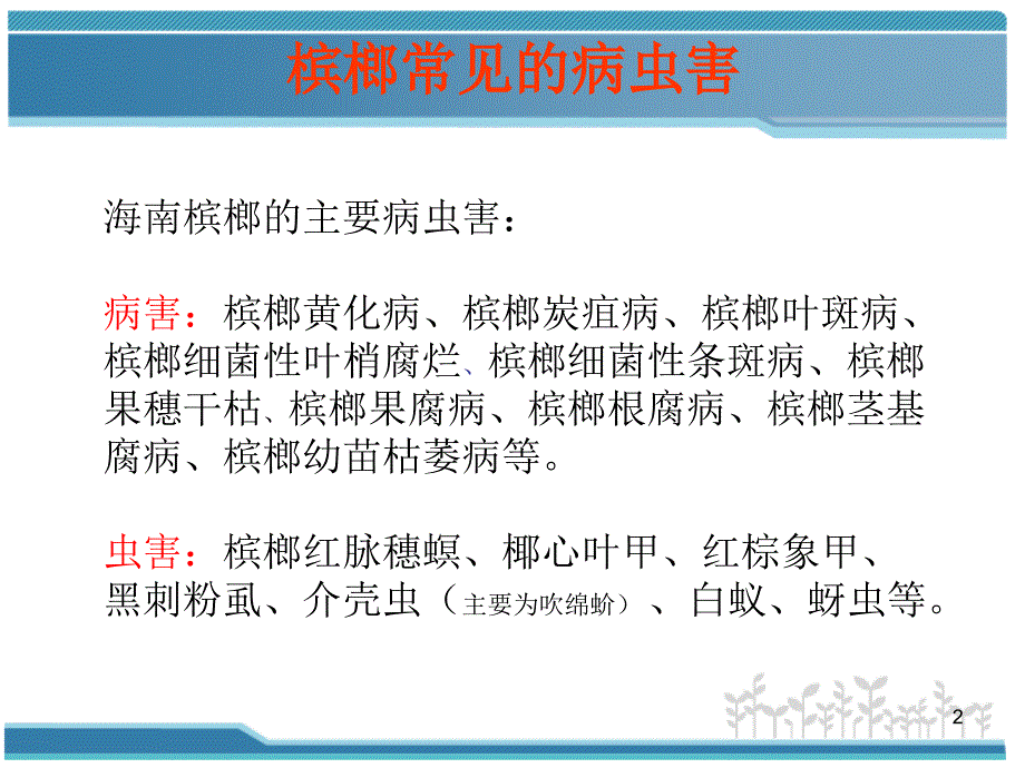 槟榔主要病虫害防治技术PPT演示课件_第2页