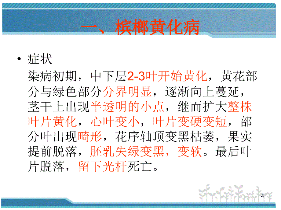 槟榔主要病虫害防治技术PPT演示课件_第4页