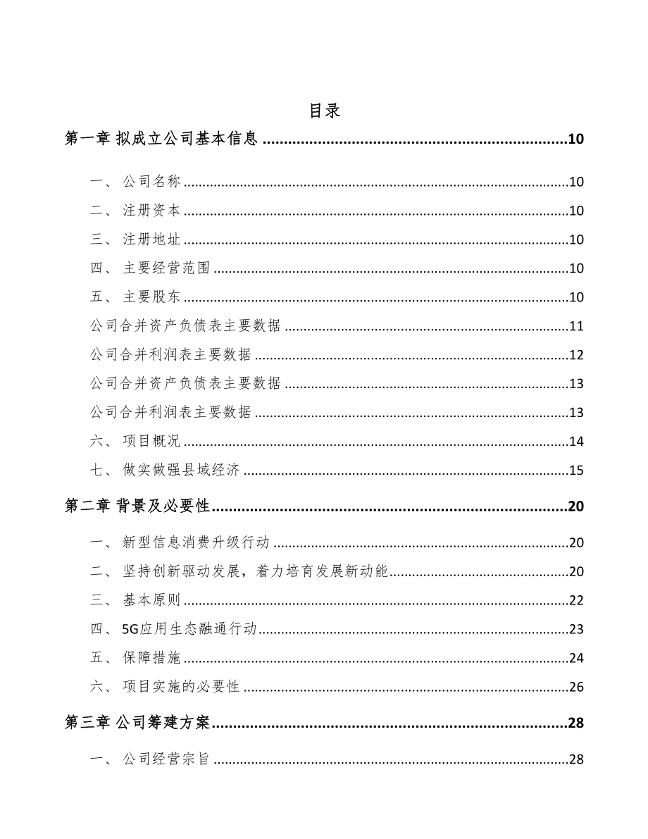 黄冈关于成立5G+智能采矿公司可行性研究报告(DOC 86页)_第2页