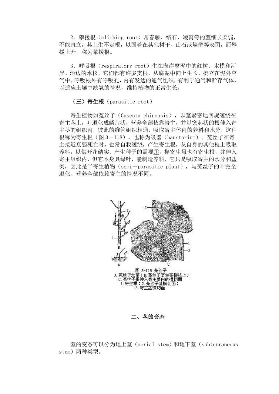 3.5第五节 营养器官的变态.doc_第5页