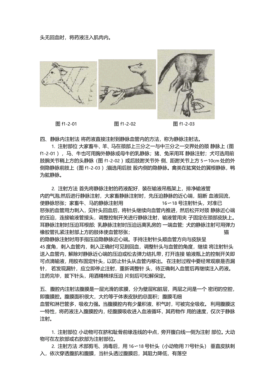 兽医临床常用操作技术_第2页