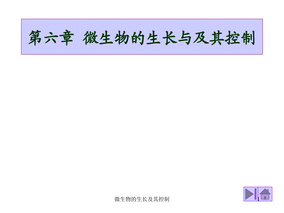 微生物的生长及其控制课件_第1页