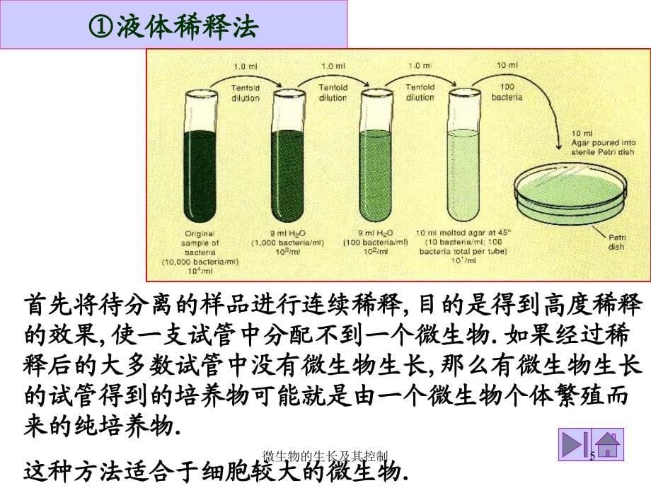 微生物的生长及其控制课件_第5页