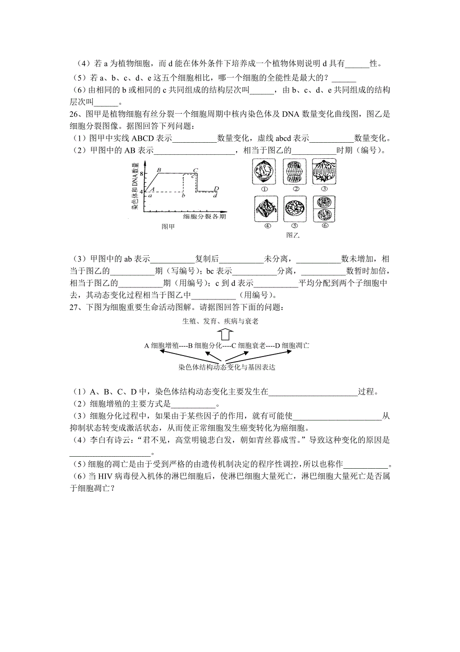 第六章细胞的生命历程练习_第4页