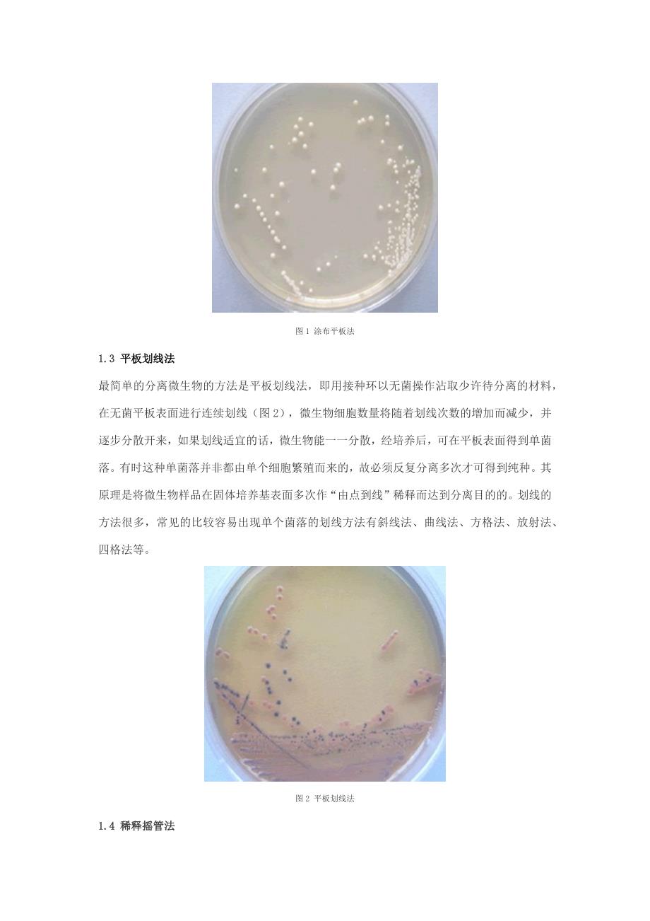 微生物菌种的分离和纯化方法_第2页