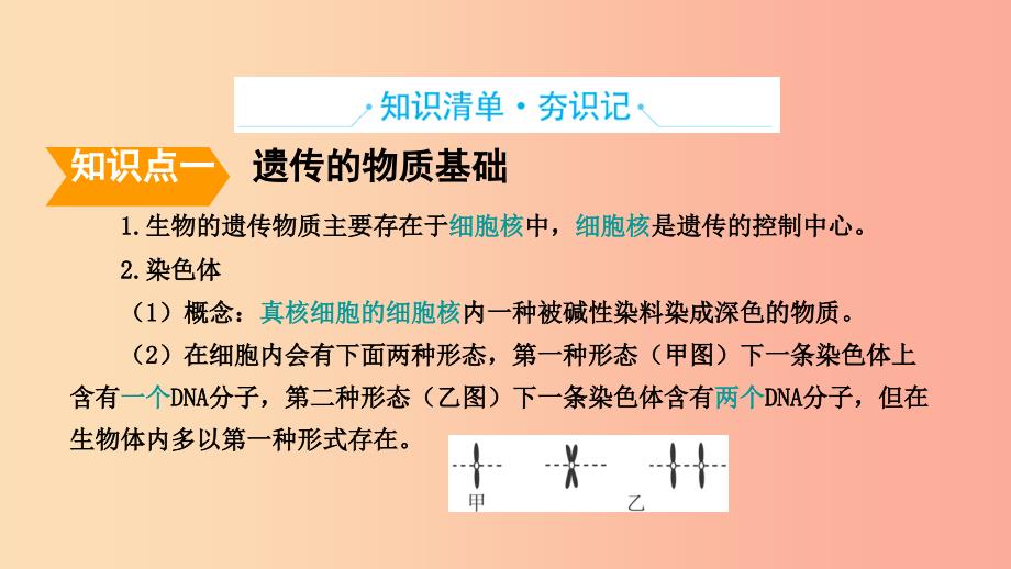 山东省2019年中考生物主题复习十五生物的遗传与变异课件济南版.ppt_第2页