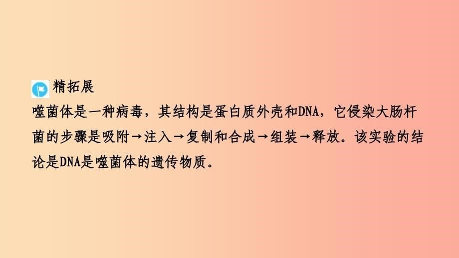 山东省2019年中考生物主题复习十五生物的遗传与变异课件济南版.ppt_第5页