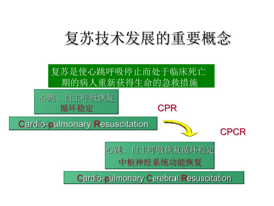 心肺脑复苏-心律失常_第2页