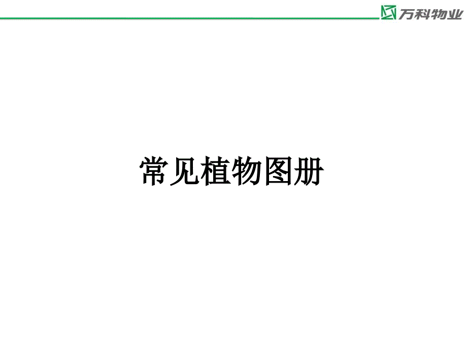 万科物业常见植物图册1_第1页