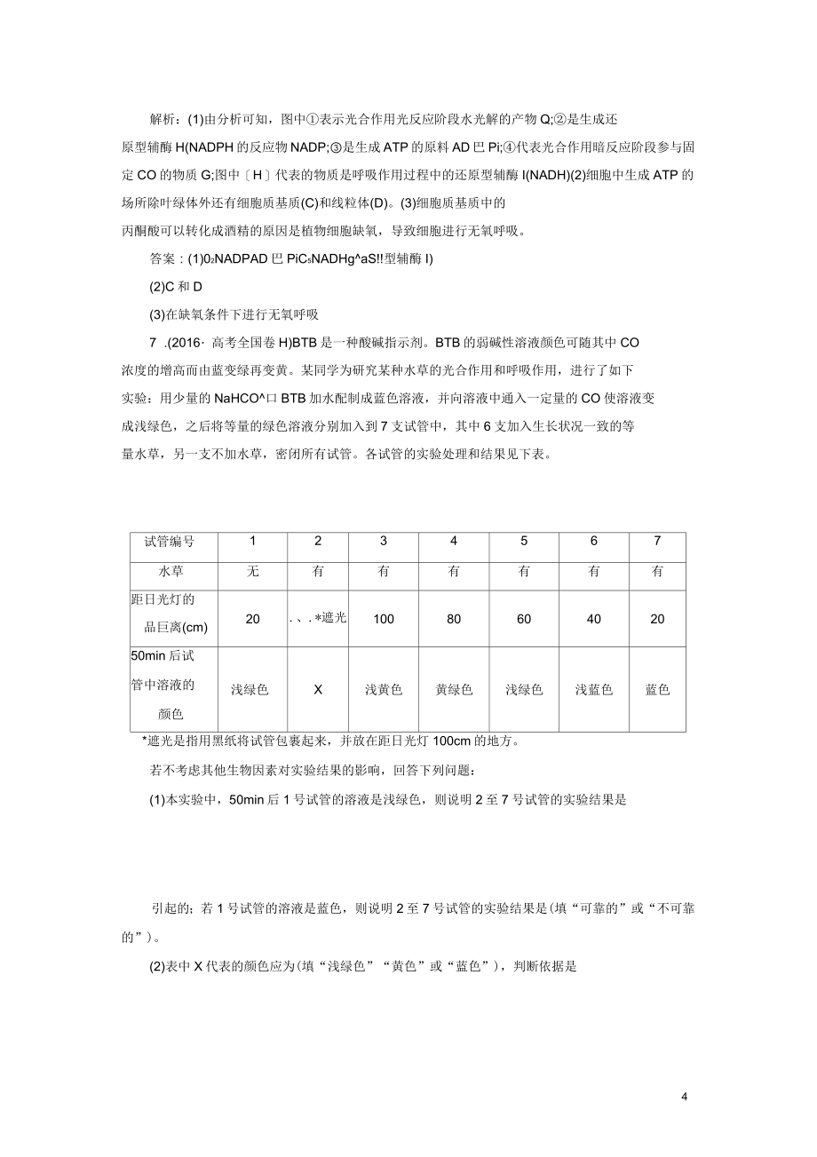 高考生物二轮复习专题二细胞的代谢第二讲光合作用与细胞呼吸学案_第4页