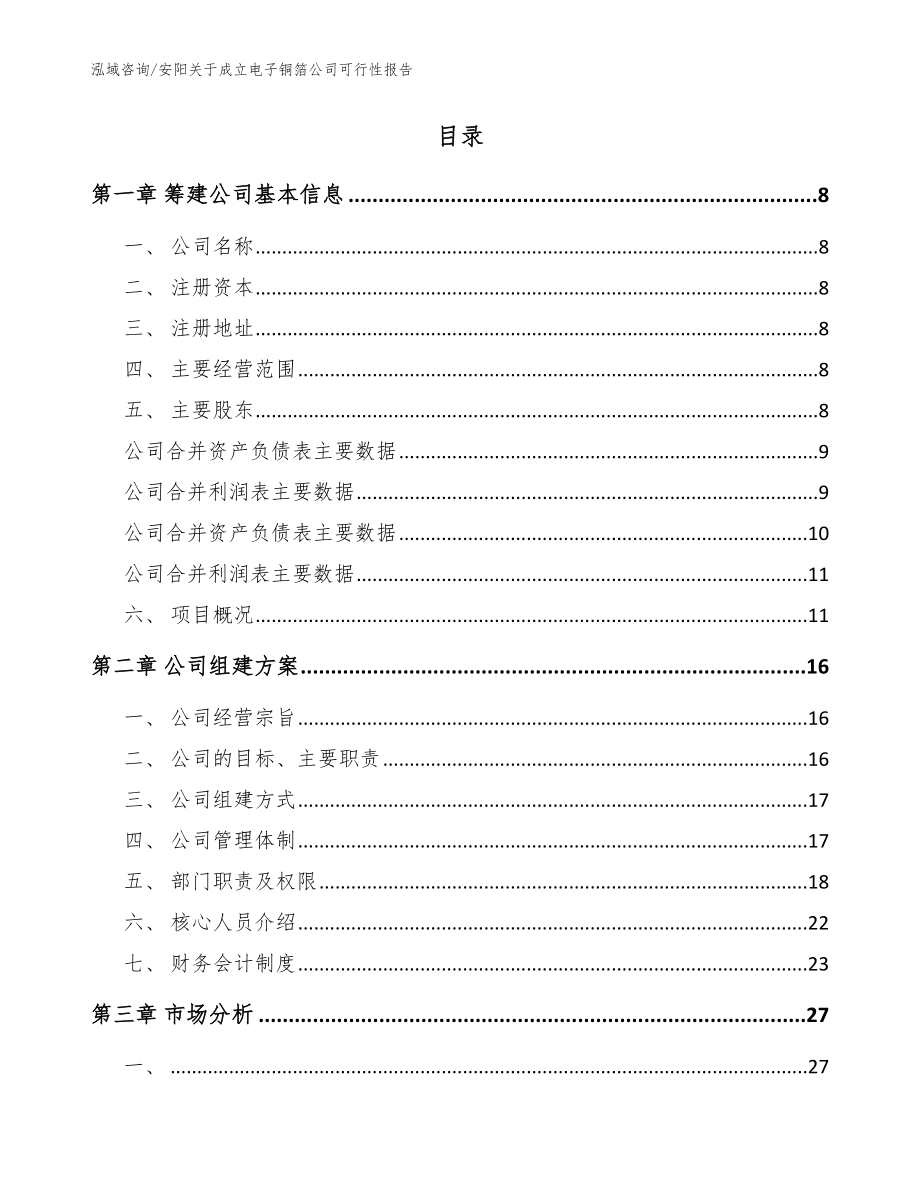 安阳关于成立电子铜箔公司可行性报告模板范文_第2页