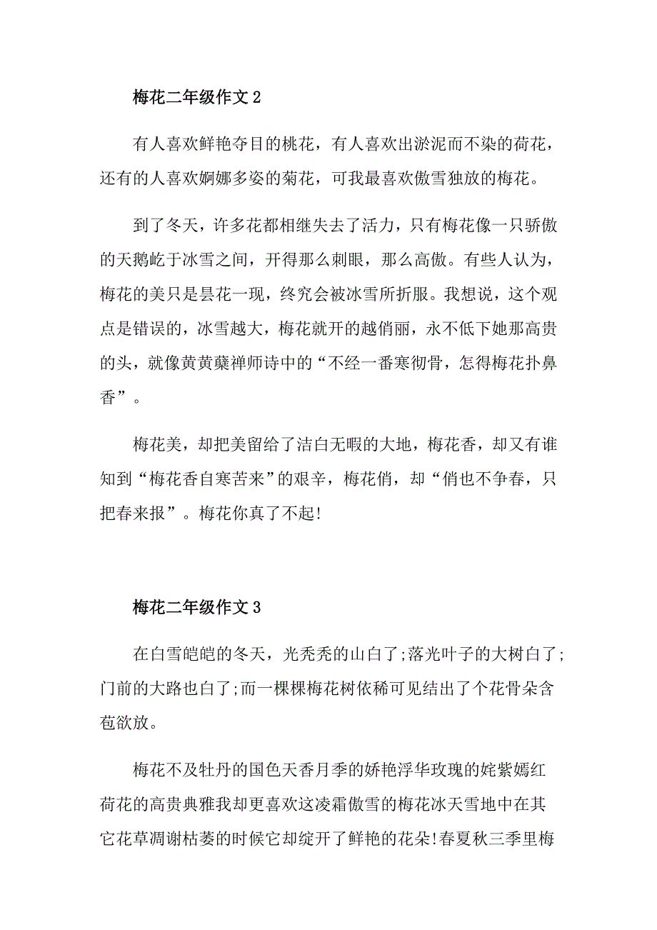 梅花小学二年级优秀作文300字_第2页