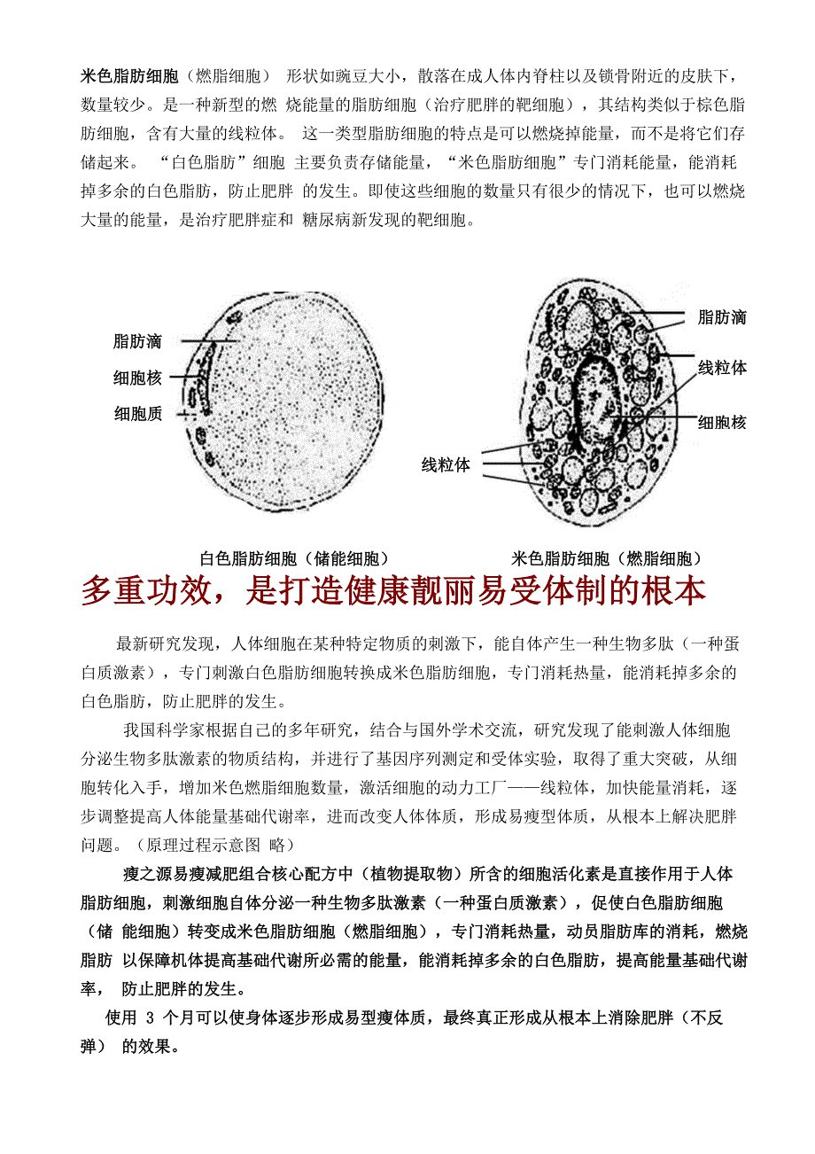 打造易瘦体质_第3页