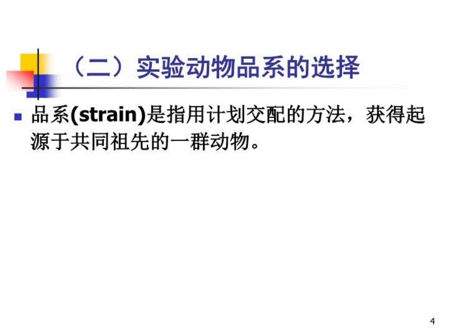 最新学生11实验基础PPT课件_第4页