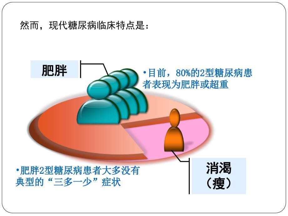 糖尿病中医防治指南(修订版)及其临床应用_第5页