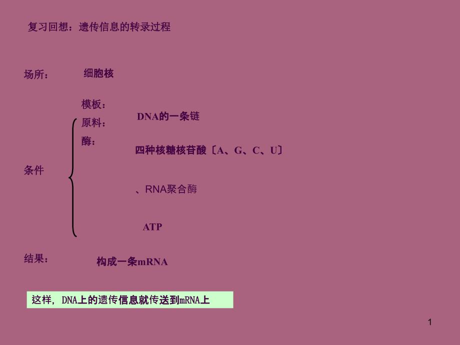 遗传信息的翻译2ppt课件_第1页