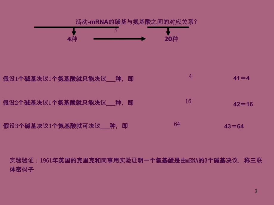 遗传信息的翻译2ppt课件_第3页