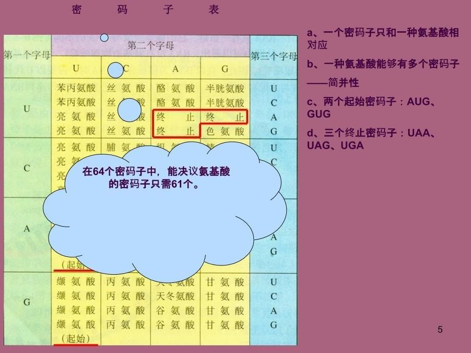 遗传信息的翻译2ppt课件_第5页