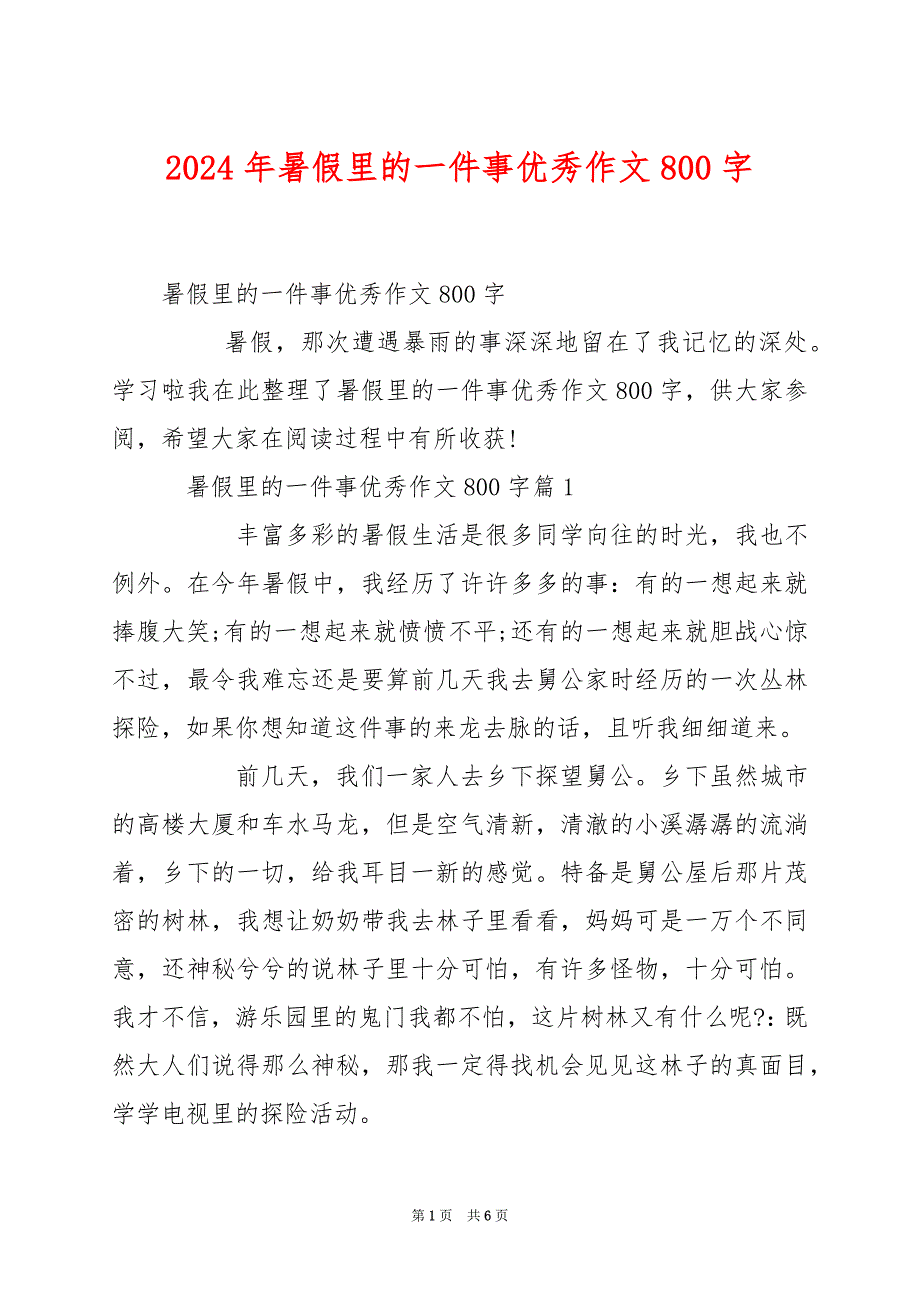 2024年暑假里的一件事优秀作文800字_第1页