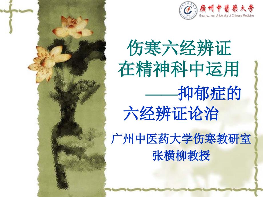 抑郁症的六经辨证论治.ppt_第2页