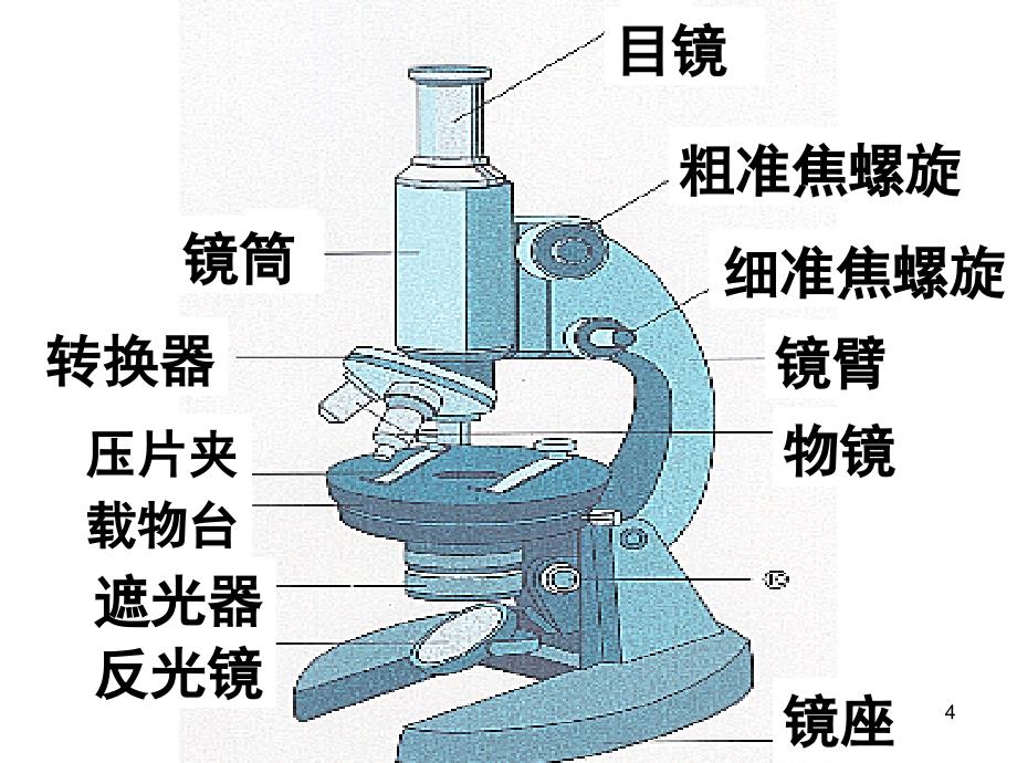 生物必修一知识点_第4页