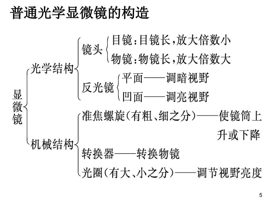 生物必修一知识点_第5页