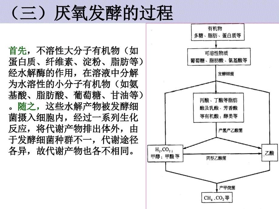 固体废物处理与处置厌氧发酵ppt课件_第5页