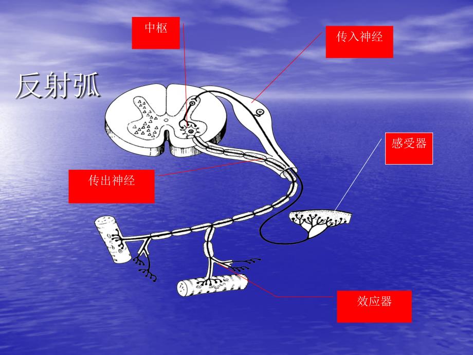 射频在疼痛科的应用_第2页