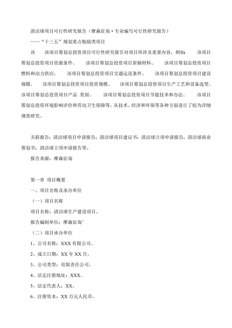 清洁球项目可行性研究报告摩森咨询&#183;专业编写可行性研样本.doc_第1页