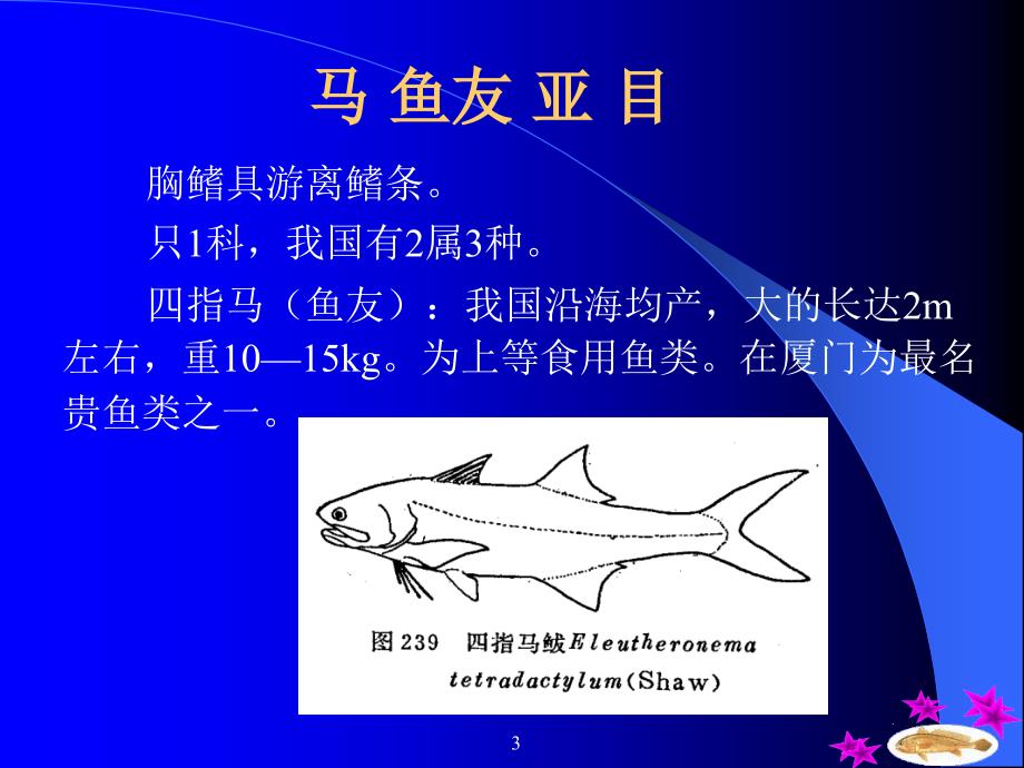 鱼类学鲻形目ppt课件教学教程_第3页