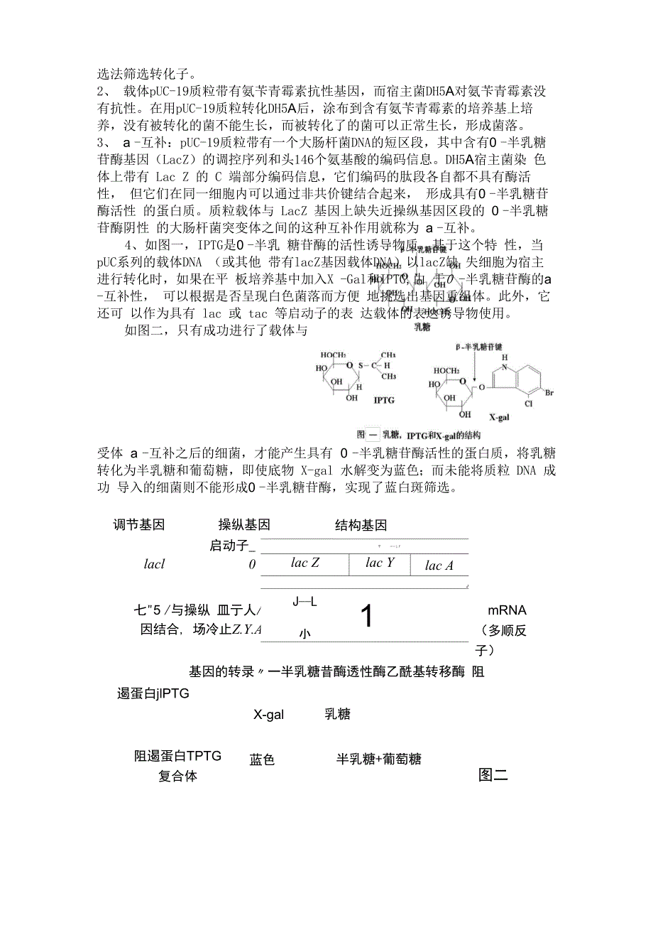 DNA转化实验报告_第3页