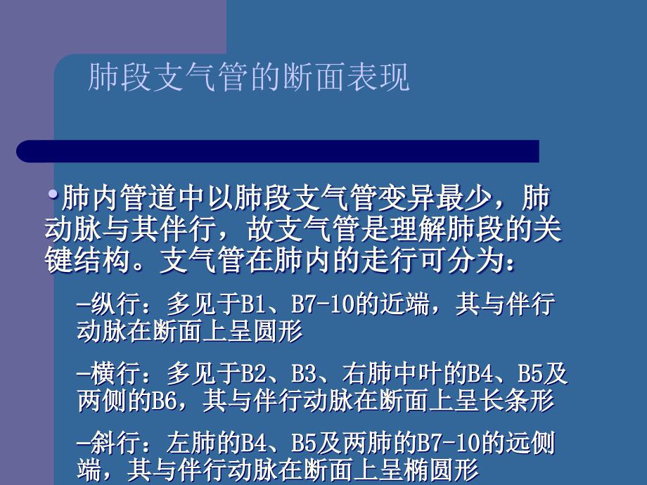 CT肺分段经典解剖_第4页