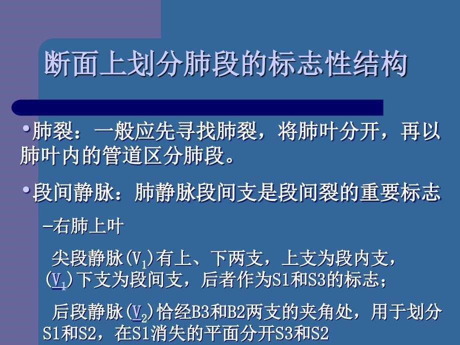 CT肺分段经典解剖_第5页