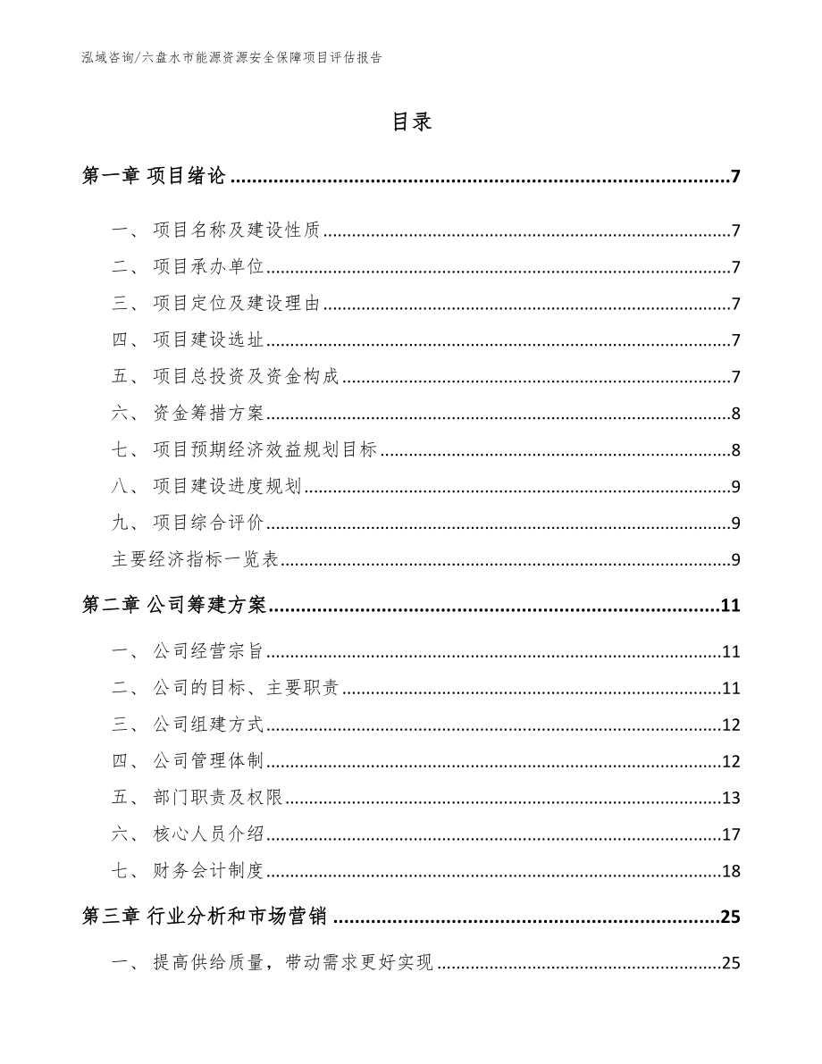 六盘水市能源资源安全保障项目评估报告（参考模板）_第2页