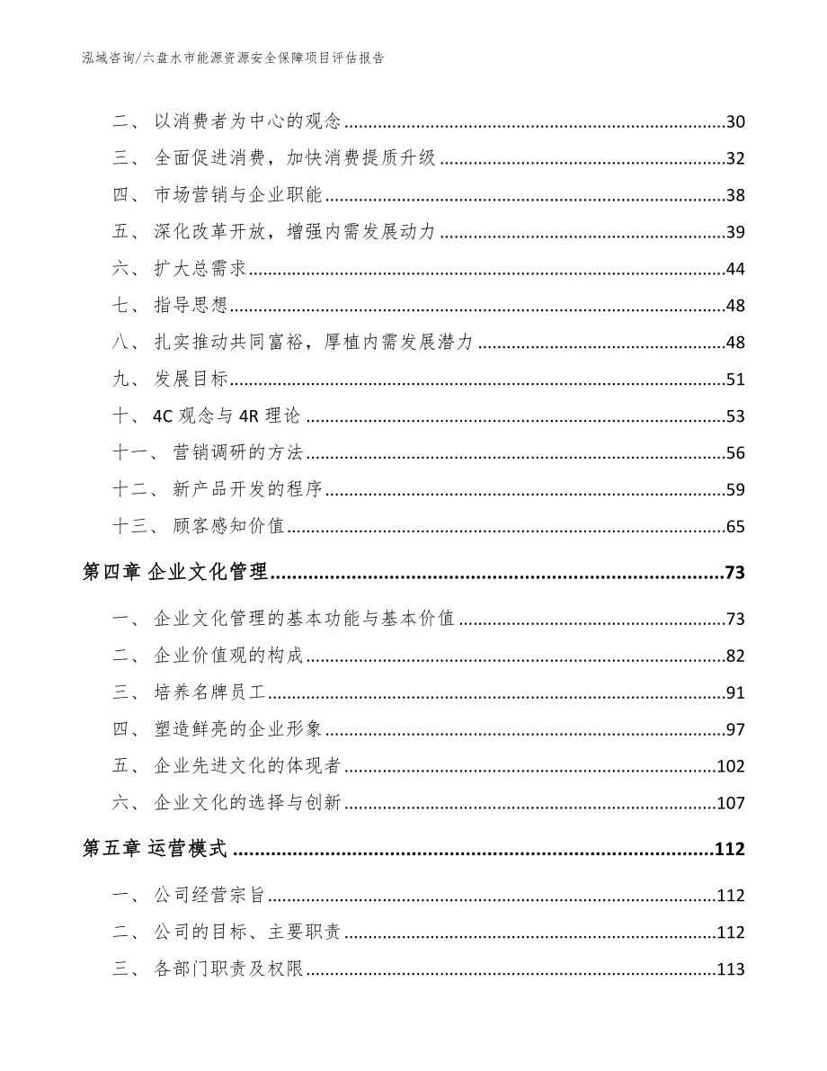 六盘水市能源资源安全保障项目评估报告（参考模板）_第3页