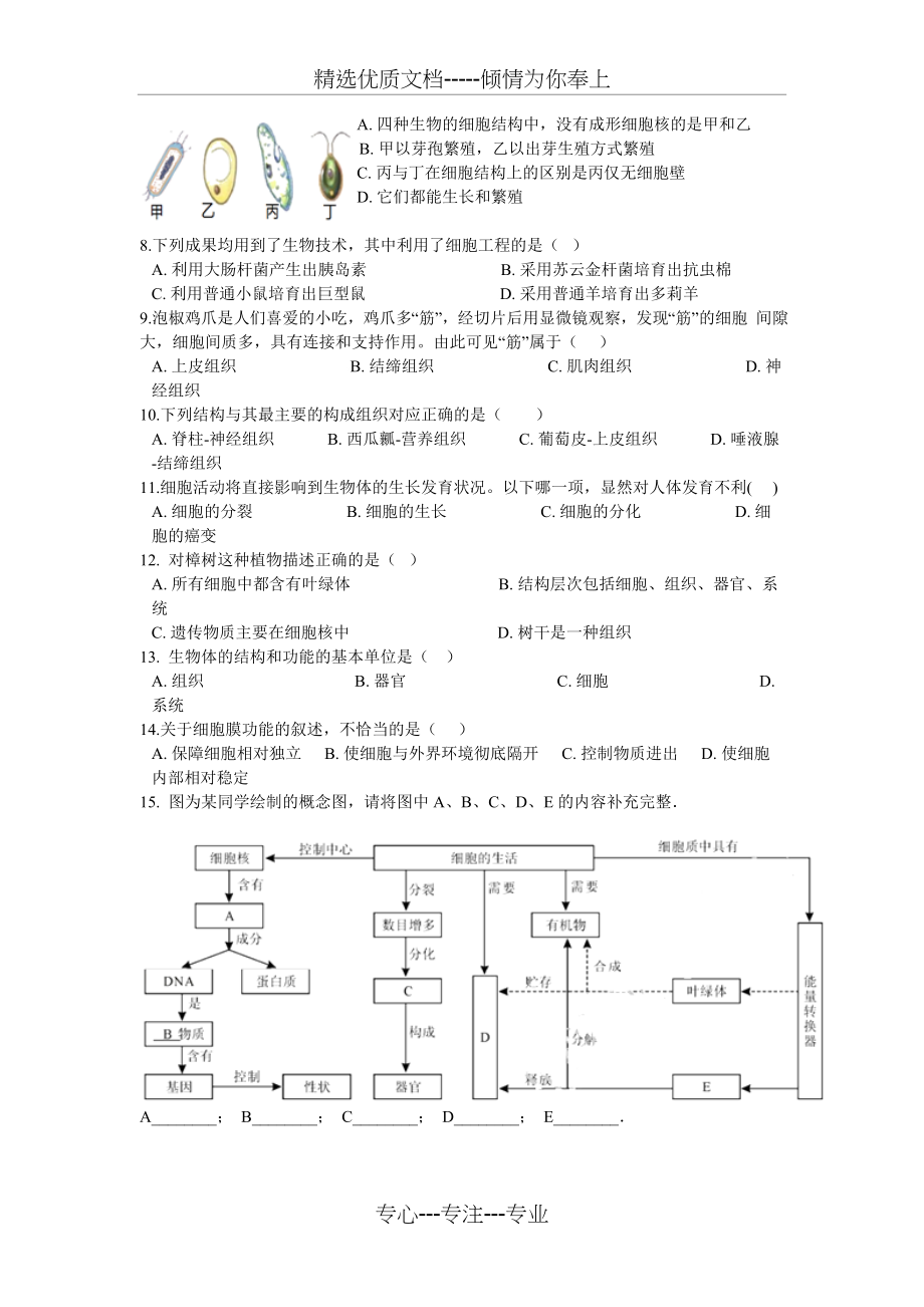 第二单元：生物体的结构层次(复习题)_第2页