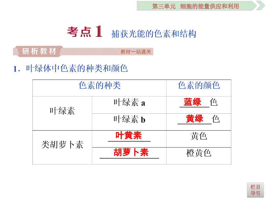 第10讲-光合作用的探究历程与基本过程ppt课件_第3页