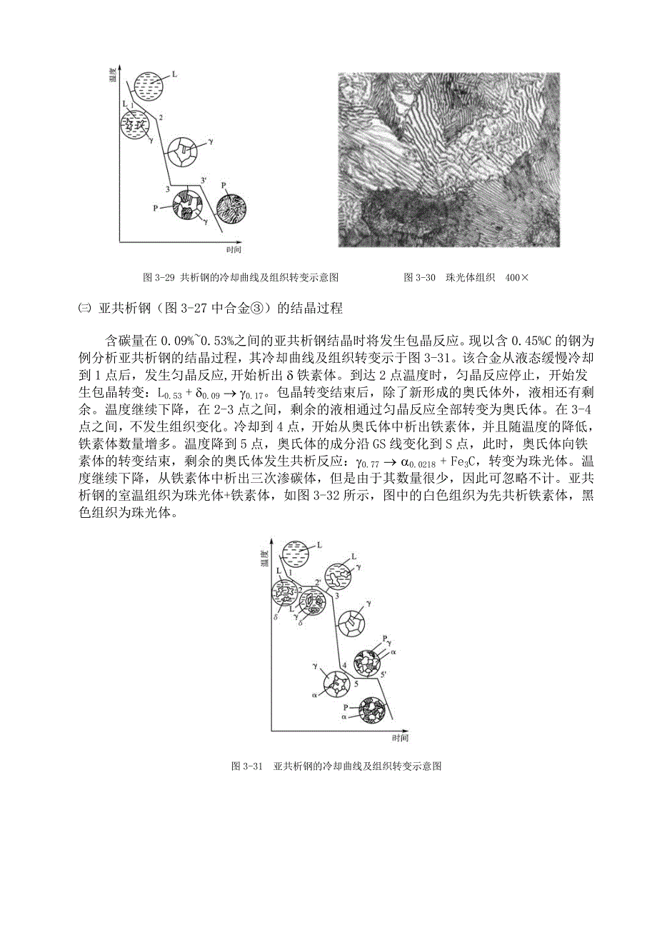 铁碳合金的平衡结晶过程_第3页