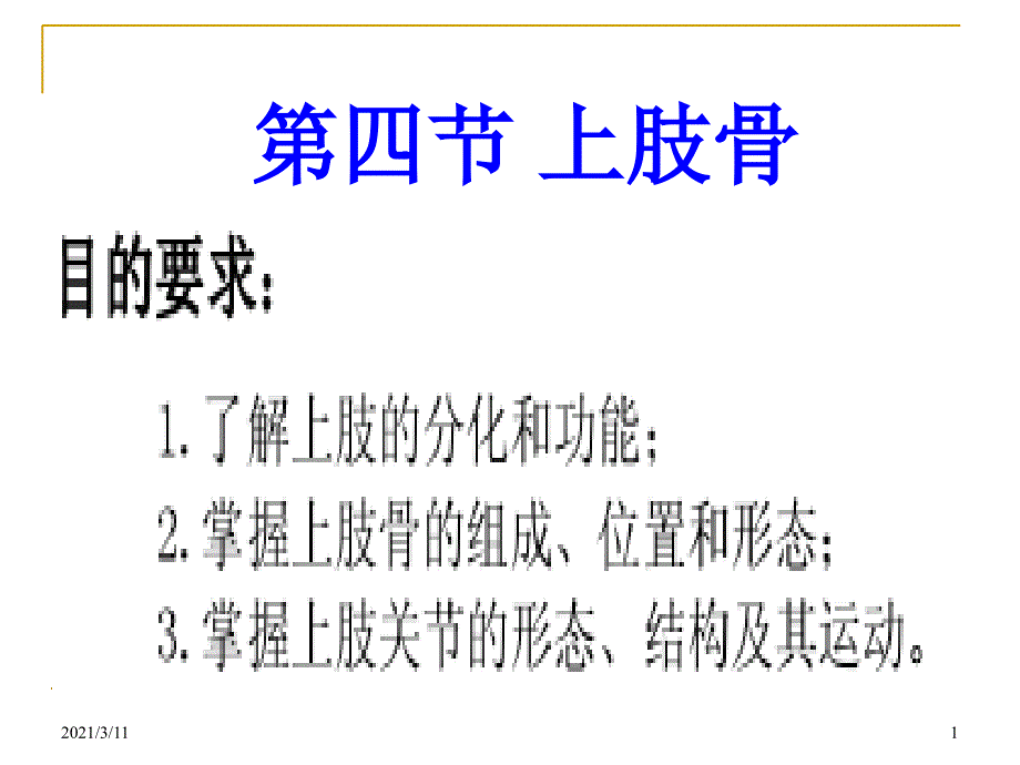 人体解剖学上下肢骨_第1页