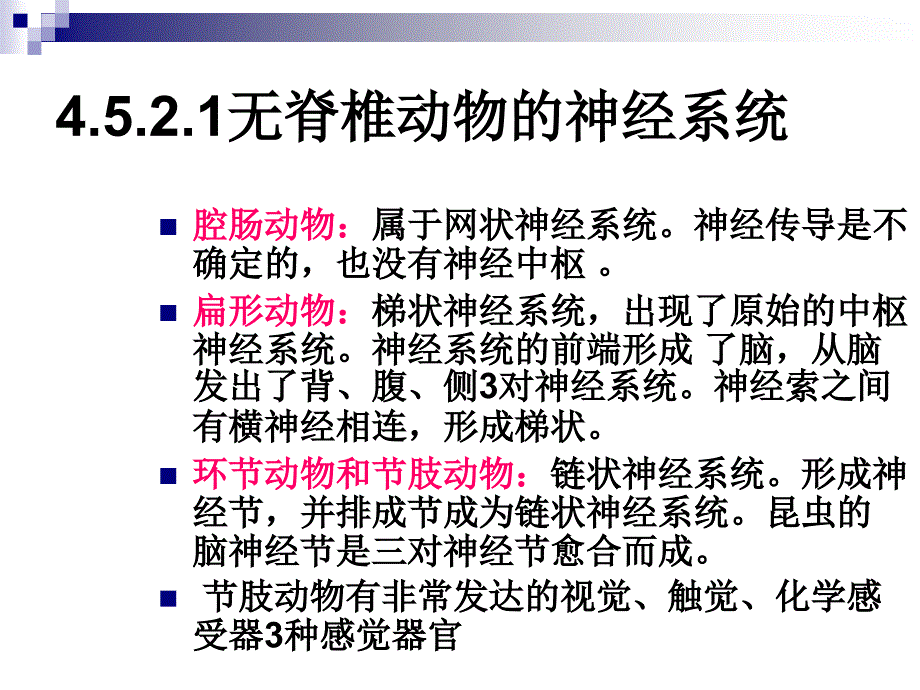 最新452神经系统PPT文档_第1页