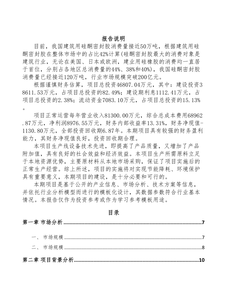 陕西建筑助剂项目可行性研究报告(DOC 59页)_第2页