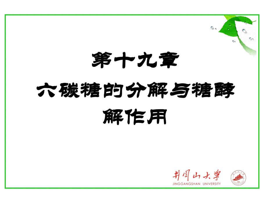 第十九章糖代谢_第1页