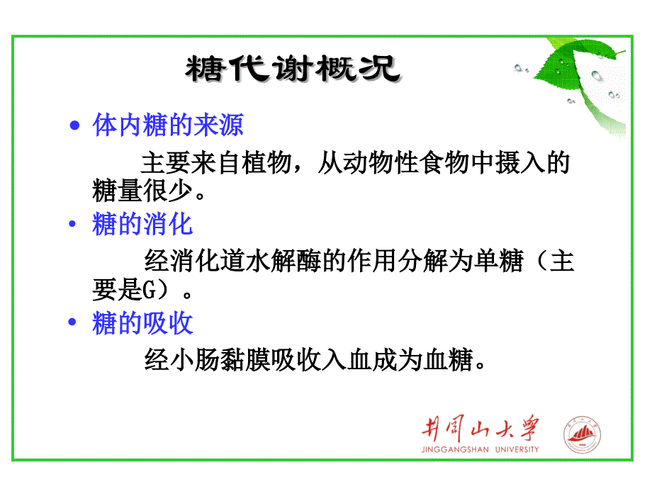 第十九章糖代谢_第2页