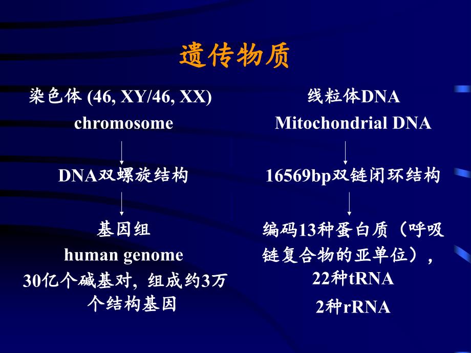 遗传性疾病GeneticDisea_第4页