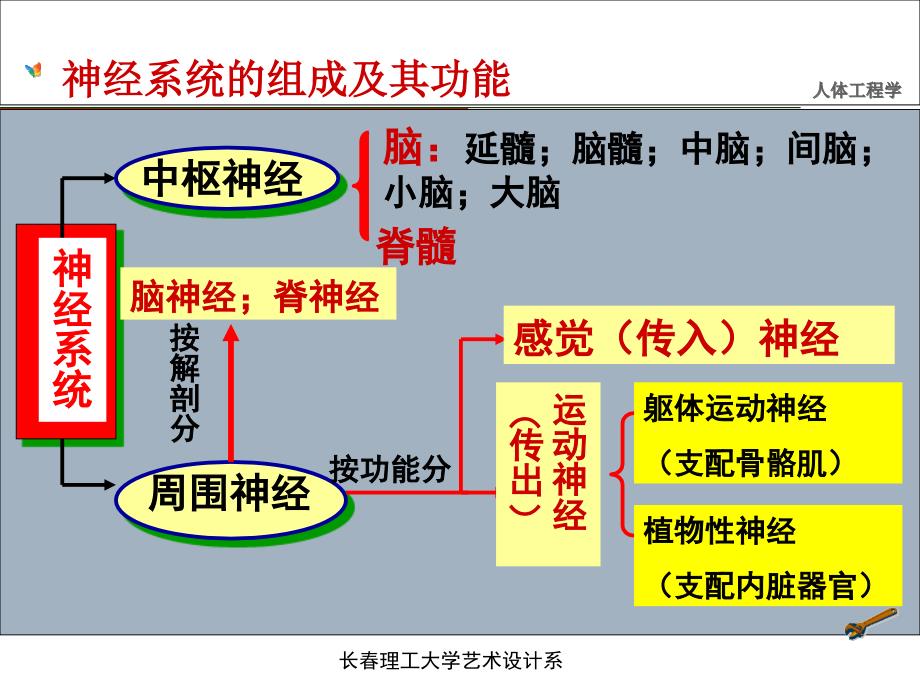 【人体工程学】第三章-人体感知和心理特征课件_第3页